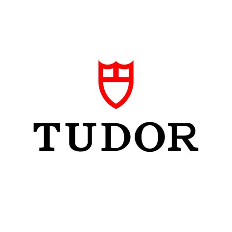 assistenza tudor torino